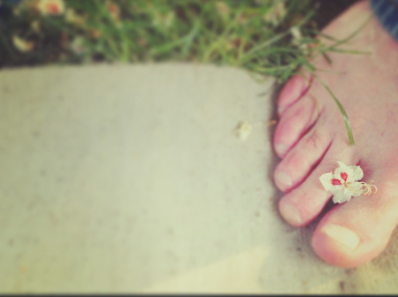 волонтер в Рай алтай сад батанический садволонтер в Рай алтай сад батанический сад