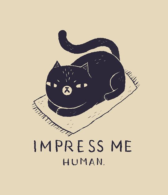 лучшая работа в мире няня для кошек