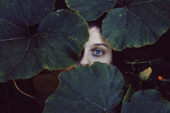 грант для фотографов от Getty Images