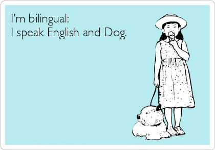 вакансия adme вакансии adme