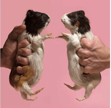 Emerging Markets Editor, Moscow, Блумберг вакансии, Bloomberg News