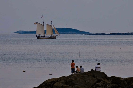 vacinartmsk Интереcные вакансии Москва