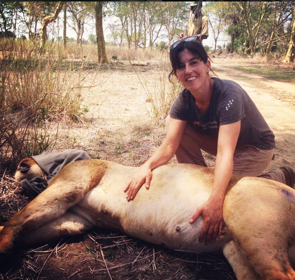 best job ever vacinart