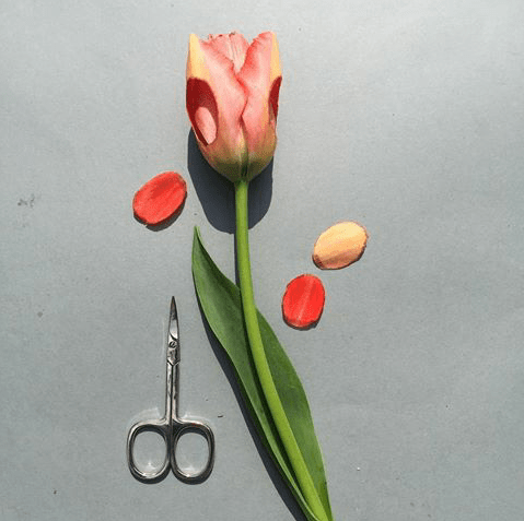 vacinartmsk лучшие вакансии интересные вакансии Москва работа в гринпис супер вакансия в Москве