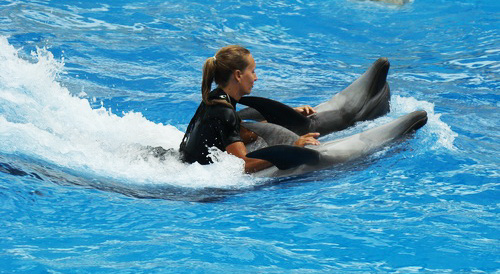 vacinartmsk лучшая работа в мире работа мечты