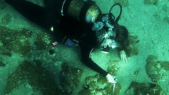 vacinartmsk подводный город акра крым раскопки экспедиция