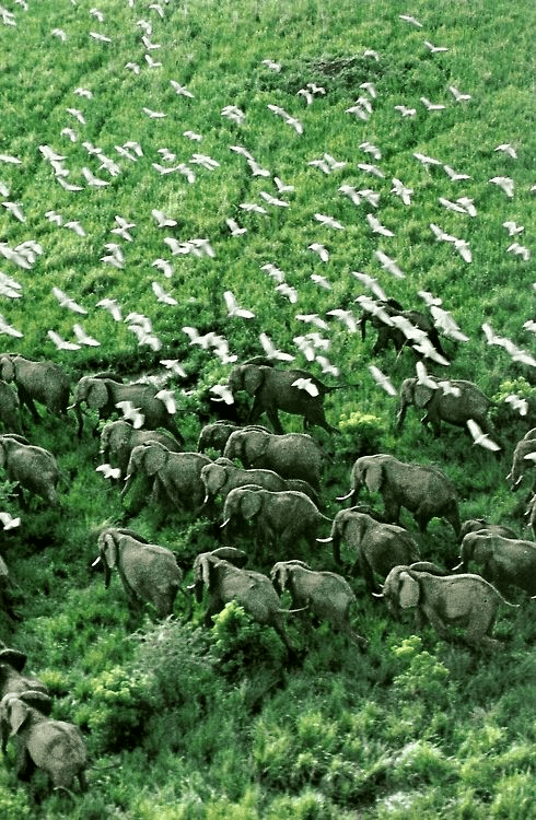 vacinartmsk путешествие в африку работа журналист сми уганда работа ищу работу