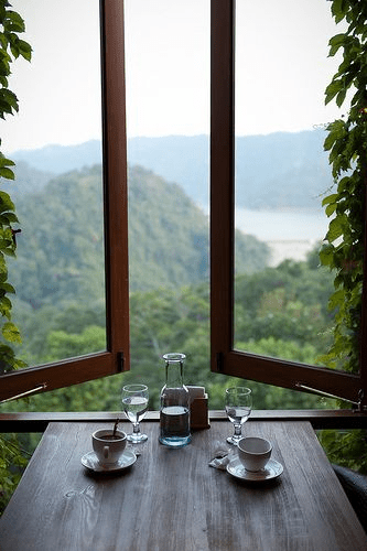 vacinartmsk вакансия организации защита животных Москва руководитель PR маркетинг 