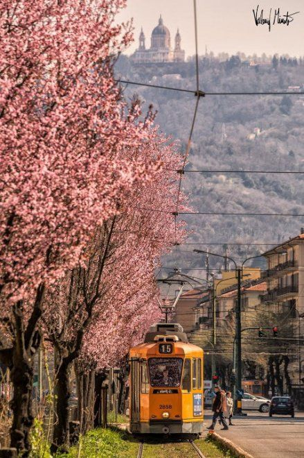 vacinartmsk арт-резиденция для художников италия турин россия грант