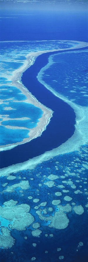 vacinartmsk путешествие в Австралию дайвинг Большой Барьерный риф