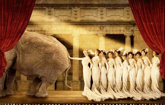 vacinartmsk.com бизнес проект стендап стартап работа 