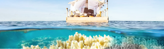 vacinartmsk путешествие в Австралию дайвинг Большой Барьерный риф