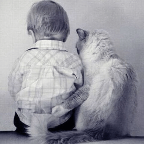 vacinartmsk конкурс логотип дизайн дизайнер 