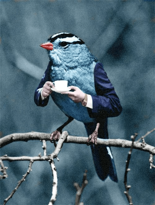 vacinart rabota bank moskva Швейцария