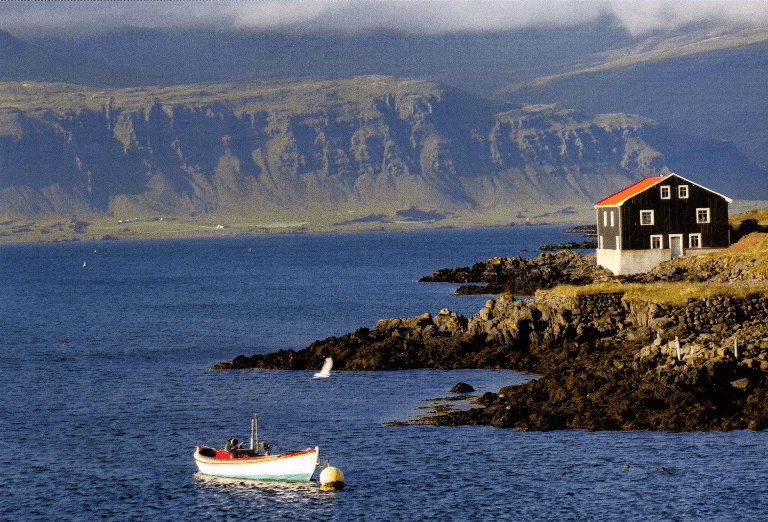 vacinart travel islandiya 