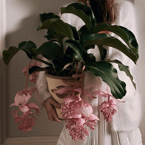 vacinartmsk вакансии дизайнер дизайн архитектор работа в Европе для русских 