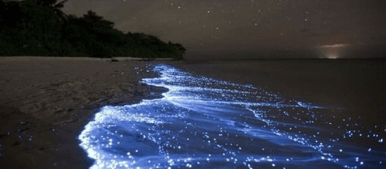 vacinartmsk арт-резиденция 2017 для художников art 