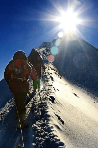 vacinart-msk-rabota-mechty