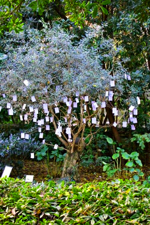 vacinart rabota v muzee, стипендия, стажировка в музее, Дерево желаний Йоко Оно, Пегги Гугенхайм,
