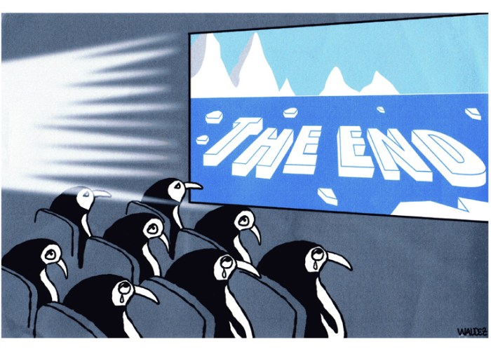 Raimundo Waldez Da C. Duarte, Amazonia. Бразилия. I место, 2010