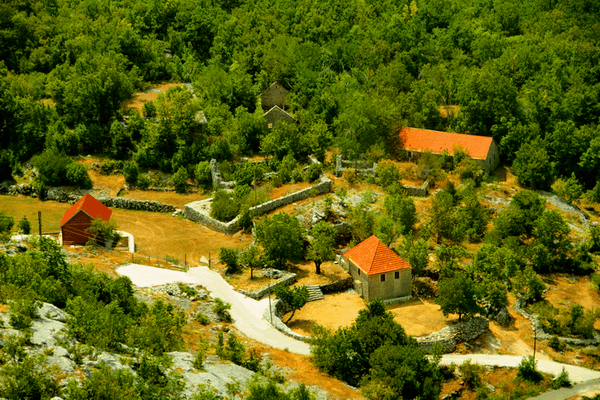 photo konkurs nature