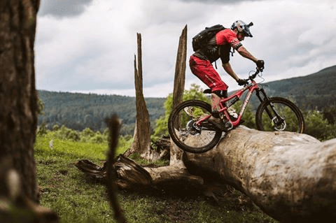 vacinart-danny-macaskill