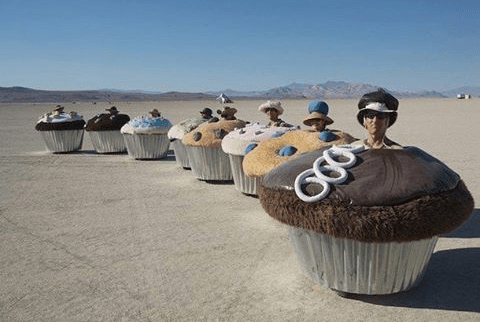 vacinart-facebook grant