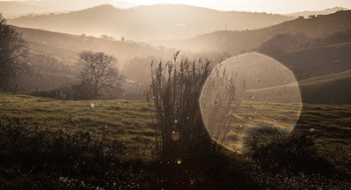 vacinart-photo-rabota-mechty-3