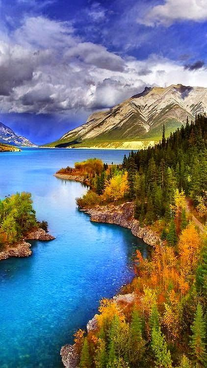 vacinart-rabota-mechty