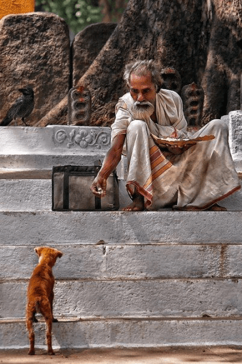 vacinart-shell-konkurs