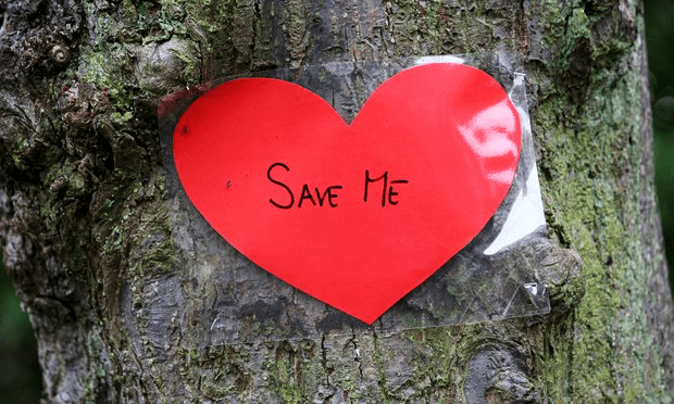 vacinart-konkurs-ecology-greenpeace