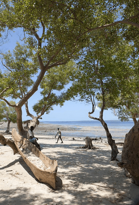 vacinart-rabota-okean-afrika_resize_resize