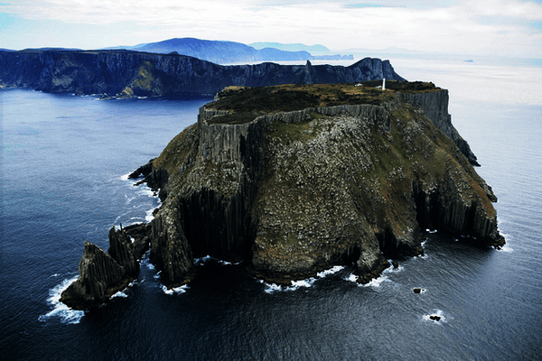 vacinart rabota mechty smotritel'