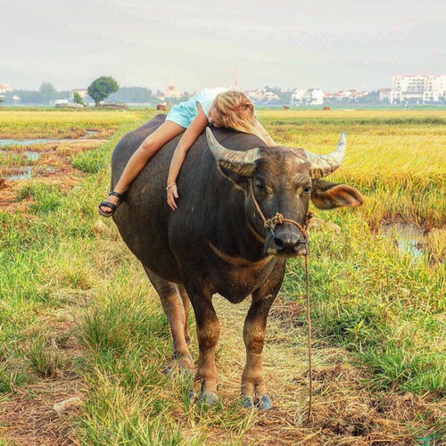 vacinart-mumpack-travel-mom-quit-job-to-travel-vietnam_resize_resize