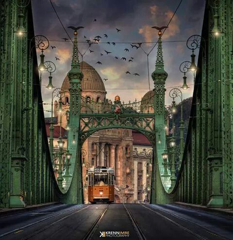 vacinart srudent travel