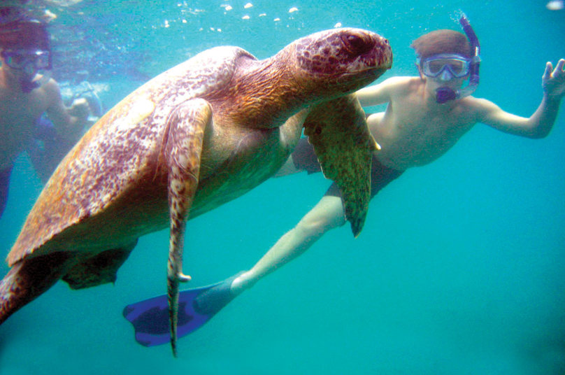 vacinart national-geographic-traveler-photo-contest-worldwide