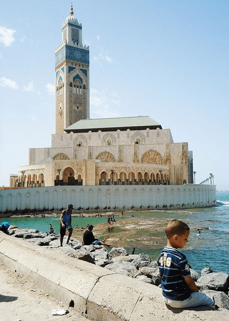 vacinart rabota za rubezhom marocco