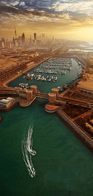 vacinart rabota za rubezhom