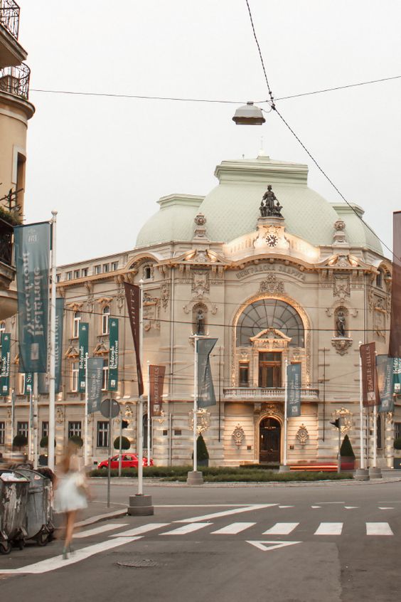 vacinart travel to serbia