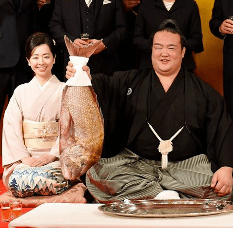 vacinart japan spb meropriyatiya