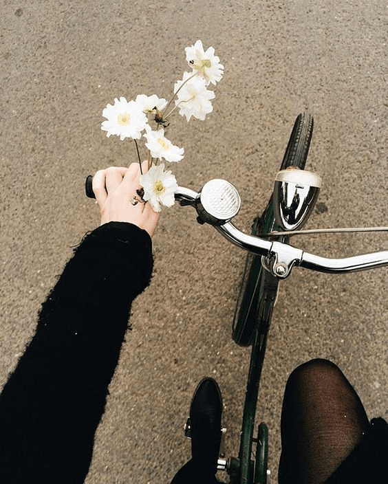 vacinart kanada student rabota