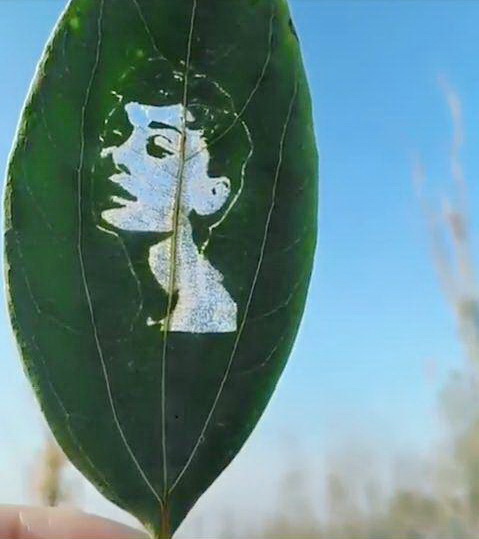 vacinart rabota iz doma v oon dizayner