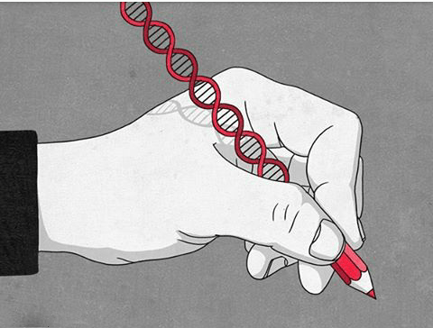 vacinart rabota udalenno redactor