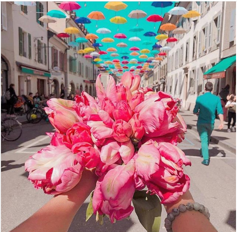 vacinart stazhirovka dlya russkih v geneve