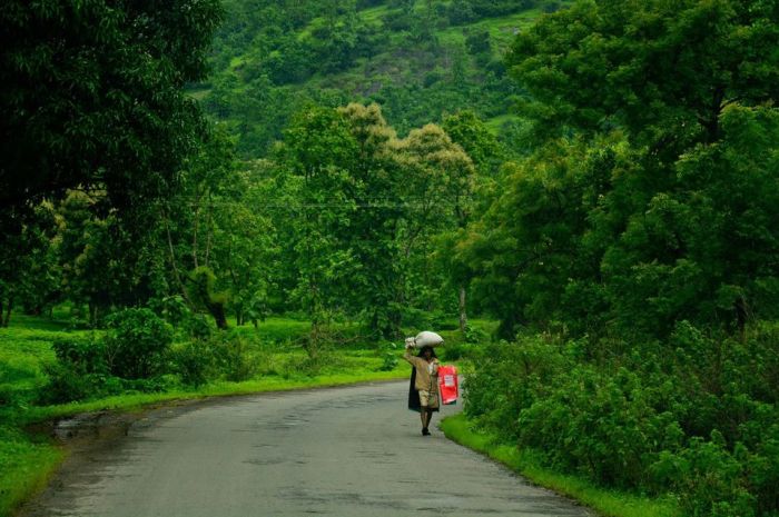vacinart stazhirvka v shkole gorah indii ili onlayn