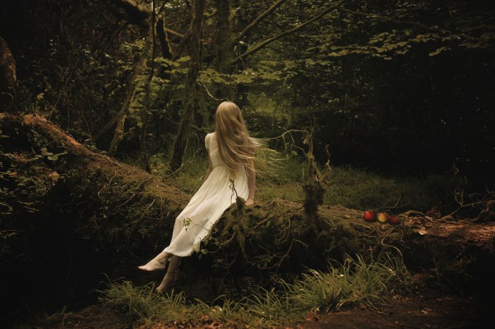 vacinart art konkurs