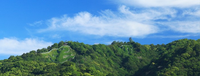 vacinart rabota yaponiya