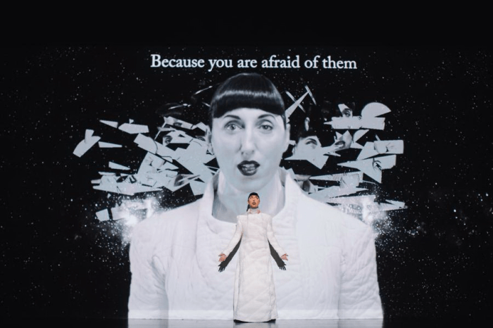 vacinart art vystuplenie v parizhe