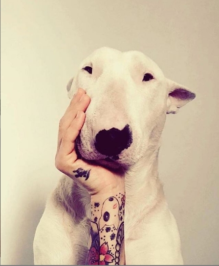 vacinart pisat teksty podrabotka