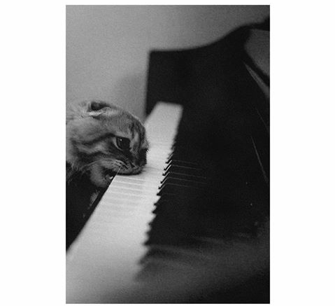 vacinart rabota s muziykoy v moskve bez opyta